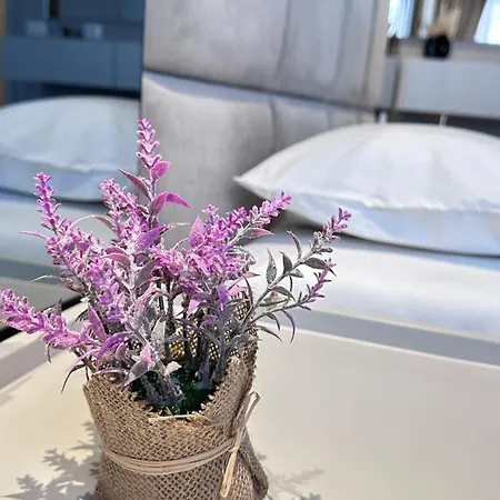 Frida Luxury Apartment Tirana